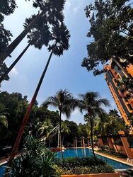 Bishan 8 (D20), Condominium #614679491